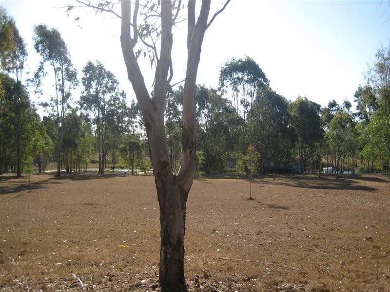 South Kolan QLD 4670