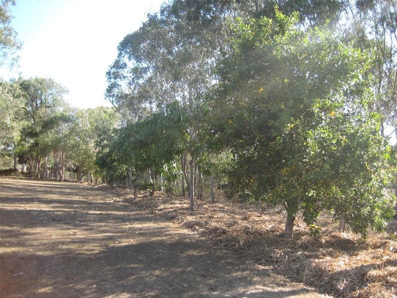 South Kolan QLD 4670