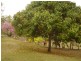 Avondale QLD 4670