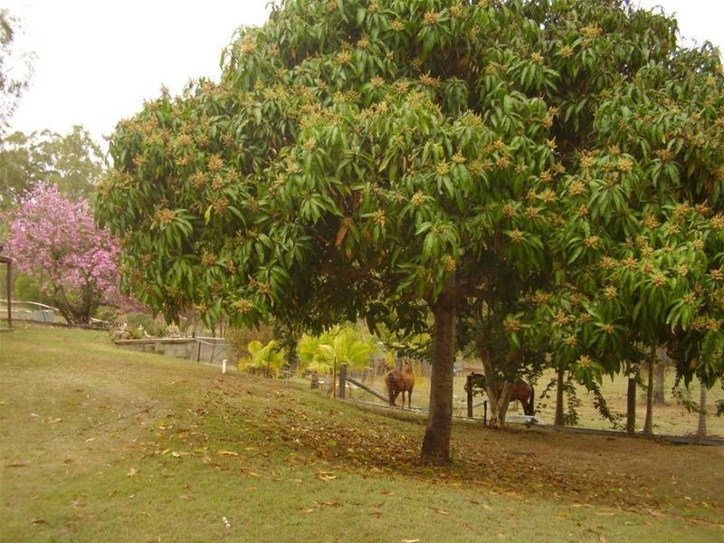 Avondale QLD 4670