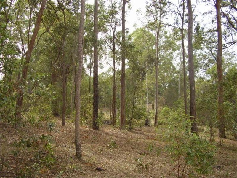 Avondale QLD 4670