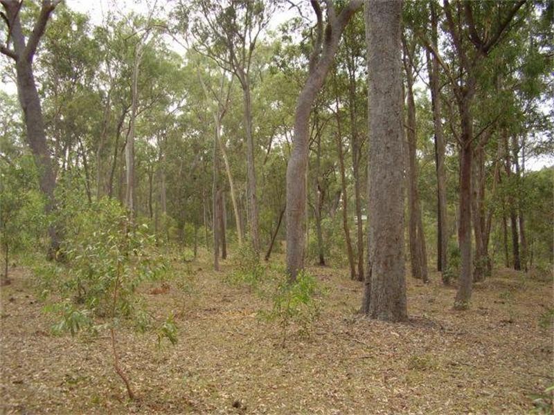 Avondale QLD 4670