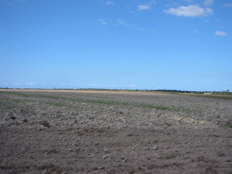 Moore Park Beach QLD 4670