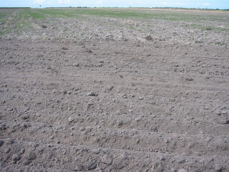 Moore Park Beach QLD 4670