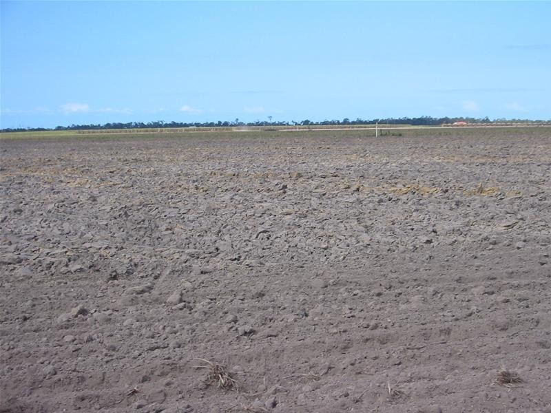 Moore Park Beach QLD 4670