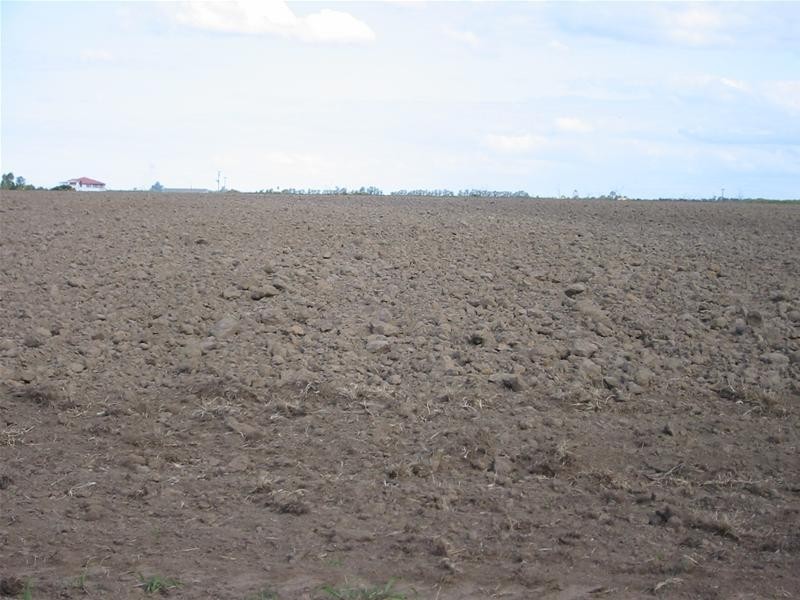 Moore Park Beach QLD 4670