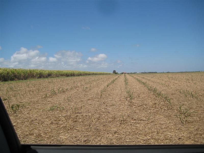 Moore Park Beach QLD 4670