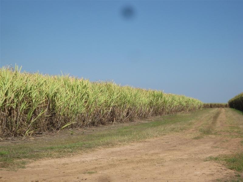 Moore Park Beach QLD 4670