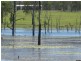 Wallaville QLD 4671