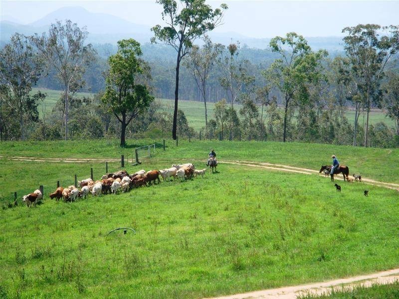 Lowmead QLD 4676