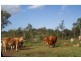 Lowmead QLD 4676