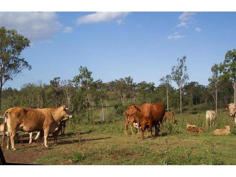 Lowmead QLD 4676