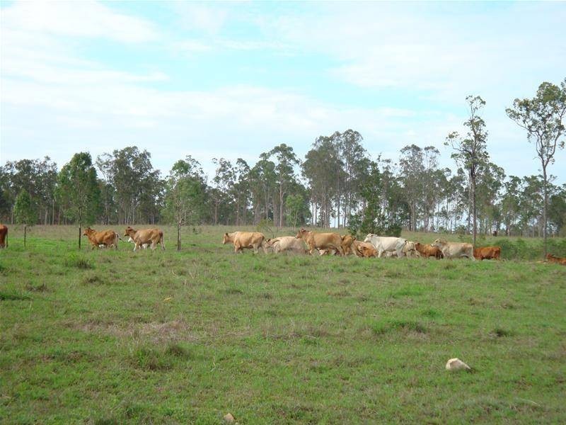 Lowmead QLD 4676