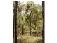 Lowmead QLD 4676