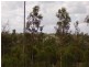 Lowmead QLD 4676