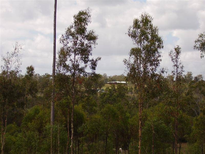 Lowmead QLD 4676