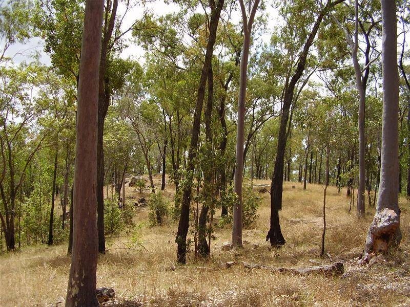 Lowmead QLD 4676