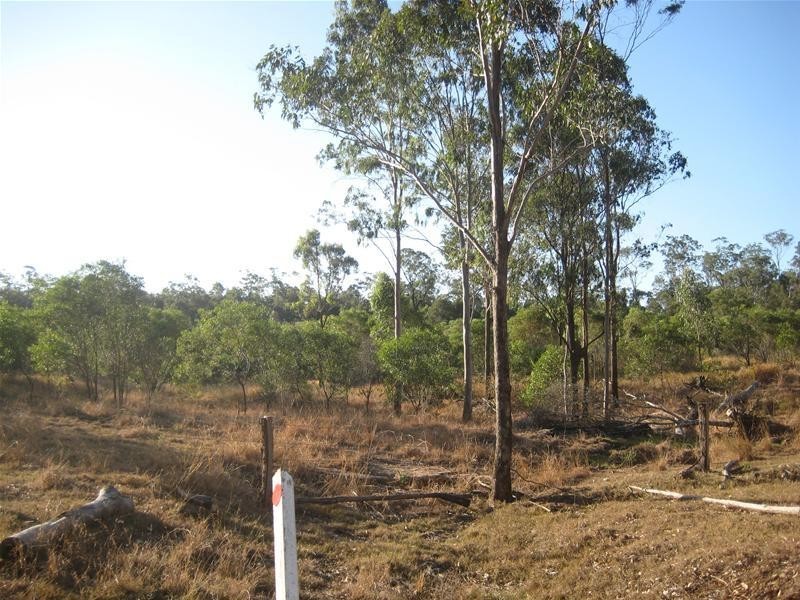 South Kolan QLD 4670
