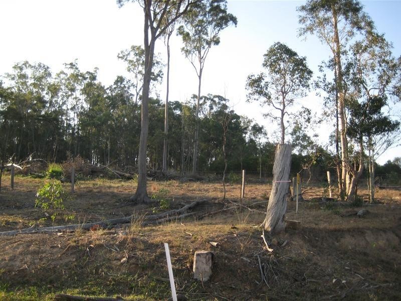 South Kolan QLD 4670