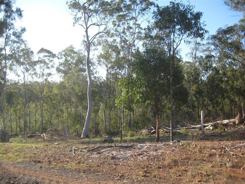 South Kolan QLD 4670