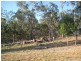 South Kolan QLD 4670