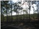 South Kolan QLD 4670