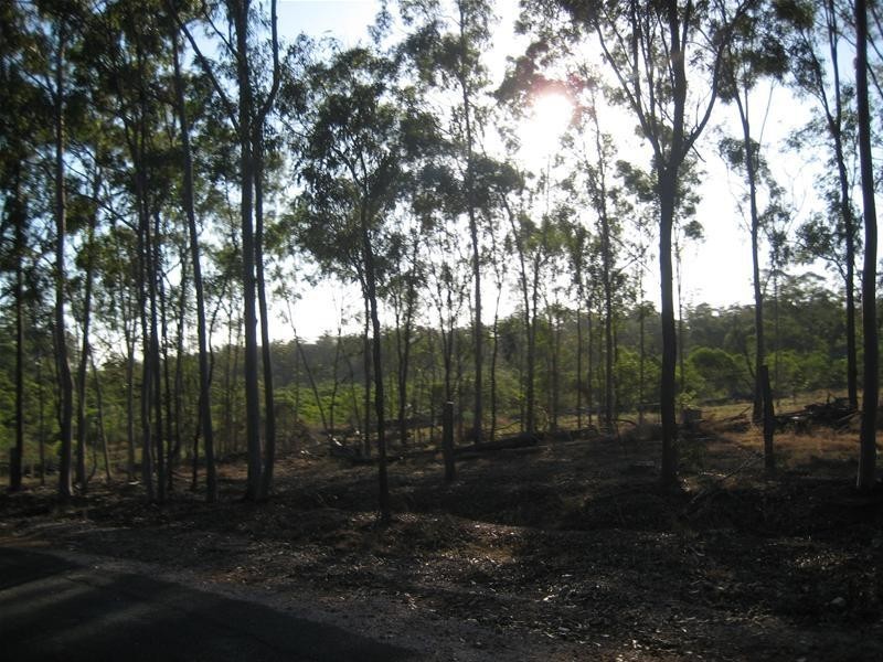 South Kolan QLD 4670