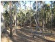 South Kolan QLD 4670