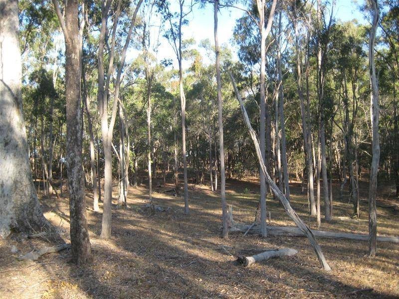 South Kolan QLD 4670