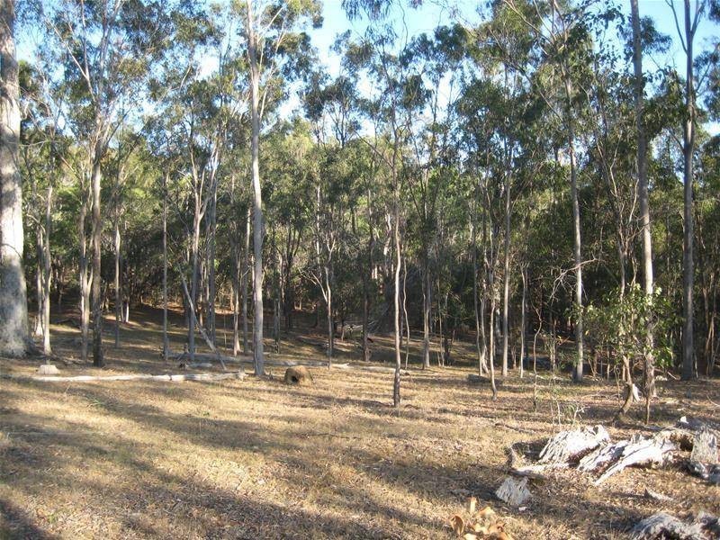 South Kolan QLD 4670