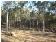 South Kolan QLD 4670