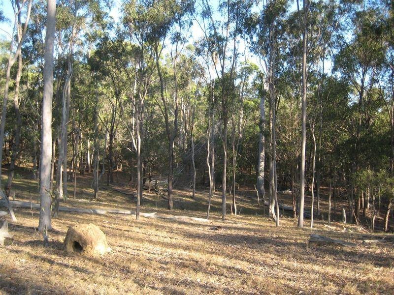 South Kolan QLD 4670