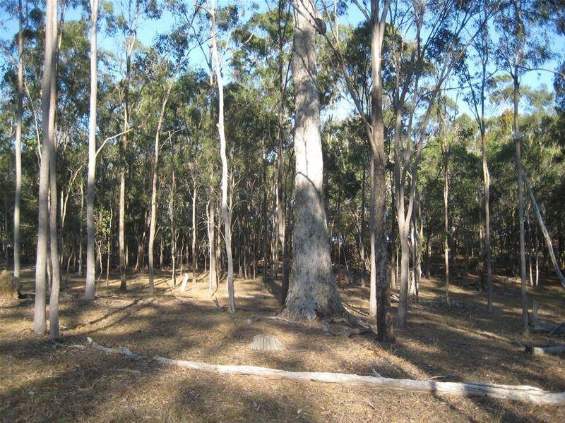 South Kolan QLD 4670
