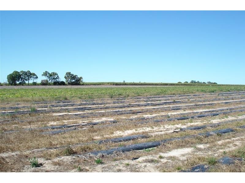 Meadowvale QLD 4670