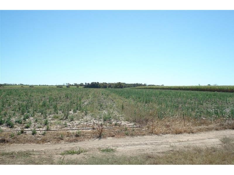 Meadowvale QLD 4670