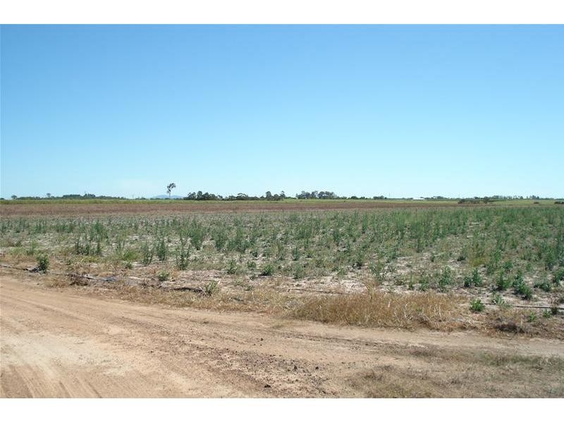 Meadowvale QLD 4670