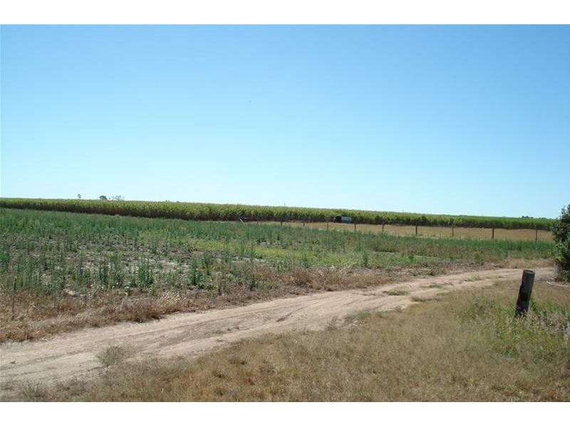 Meadowvale QLD 4670