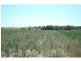 Meadowvale QLD 4670