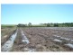 Meadowvale QLD 4670