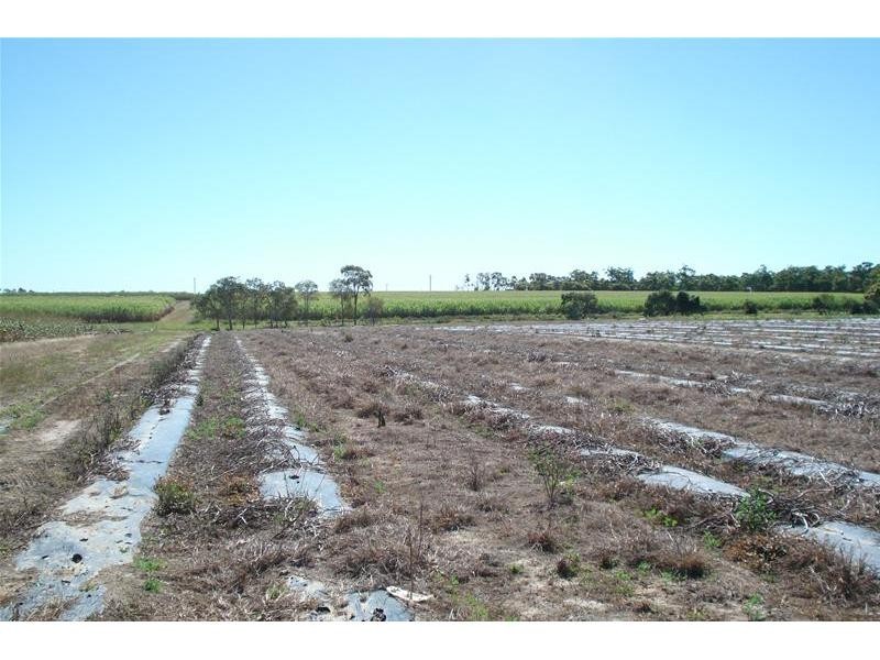 Meadowvale QLD 4670
