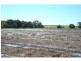 Meadowvale QLD 4670