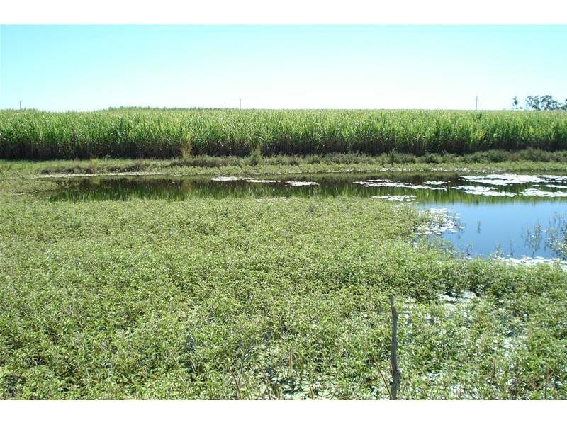 Meadowvale QLD 4670