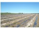 Meadowvale QLD 4670