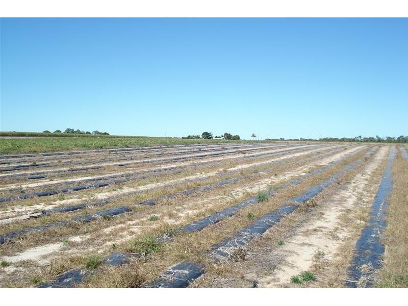 Meadowvale QLD 4670