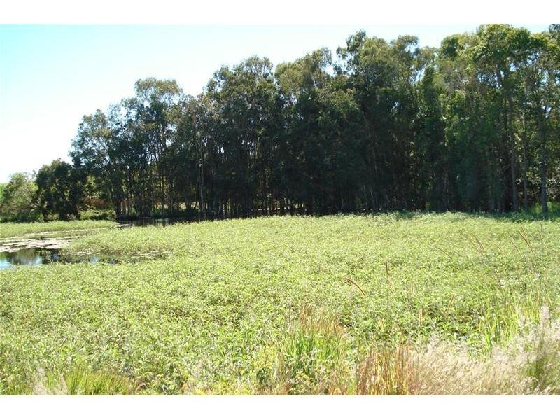 Meadowvale QLD 4670