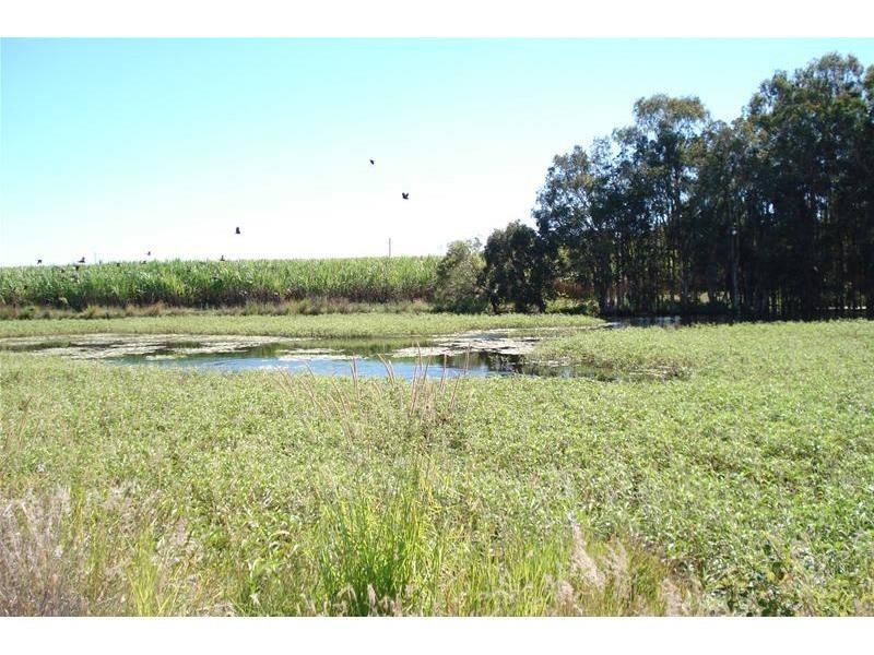 Meadowvale QLD 4670