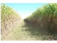 Meadowvale QLD 4670