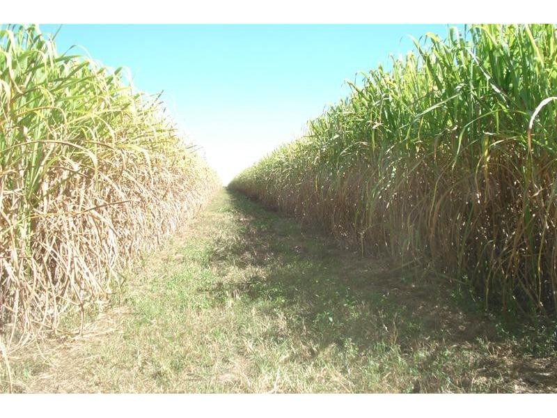 Meadowvale QLD 4670
