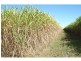 Meadowvale QLD 4670