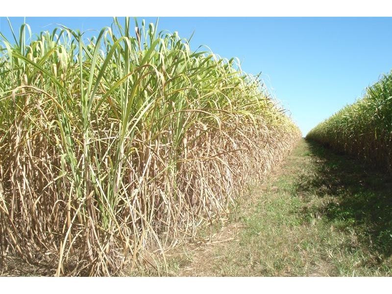 Meadowvale QLD 4670